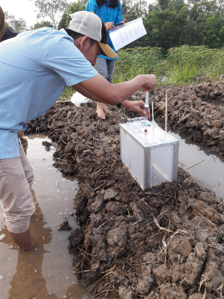 Kementan Ukur Emisi Gas Rumah Kaca Pada Hortikultura