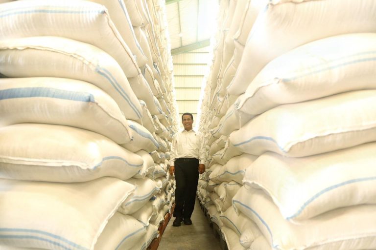 Mentan Pastikan Stok Beras Nasional Aman