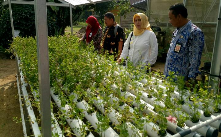 BKP Kementan Ajak Masyarakat Konsumsi Pangan Beragam Bergizi dan Aman