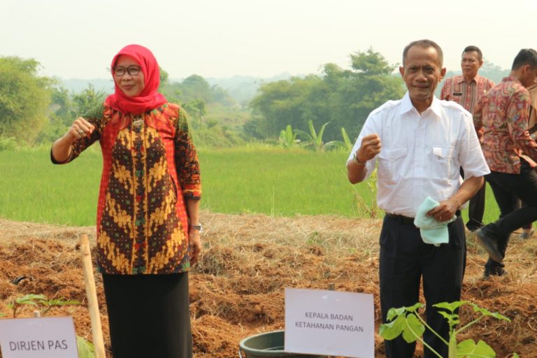 Gandeng BKP Kementan, Kemenkumha Manfaatkan Lahan Kawasan Lembaga Pemasyarakatan