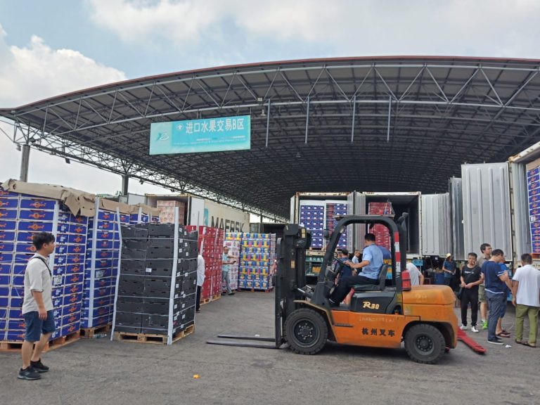 Indonesia Optimis Ekspor Hortikultura ke Cina Naik 200 – 300 Persen