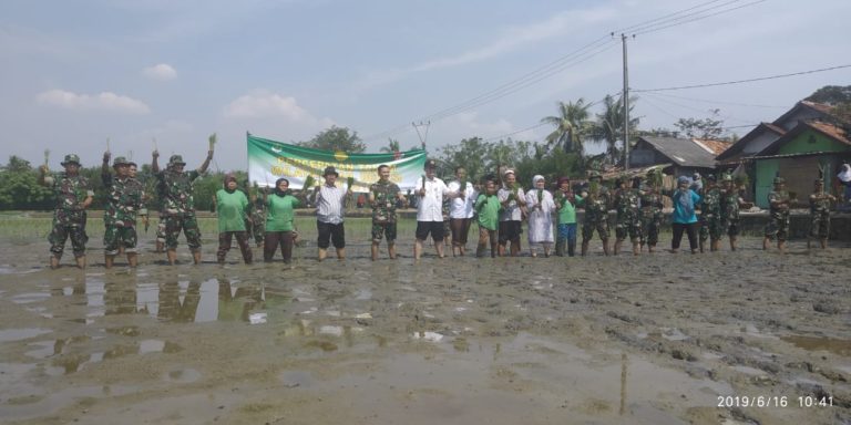 Jadi Siklus Rutin, Ini Antisipasi Kementan Atasi Kekeringan