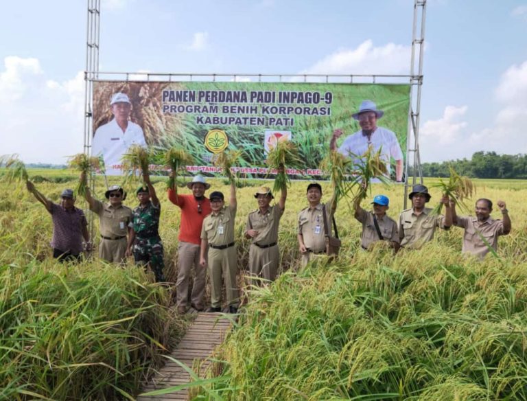 Wujud Nawacita, Kementan Lakukan Pengembangan Benih Padi Bersertifikat