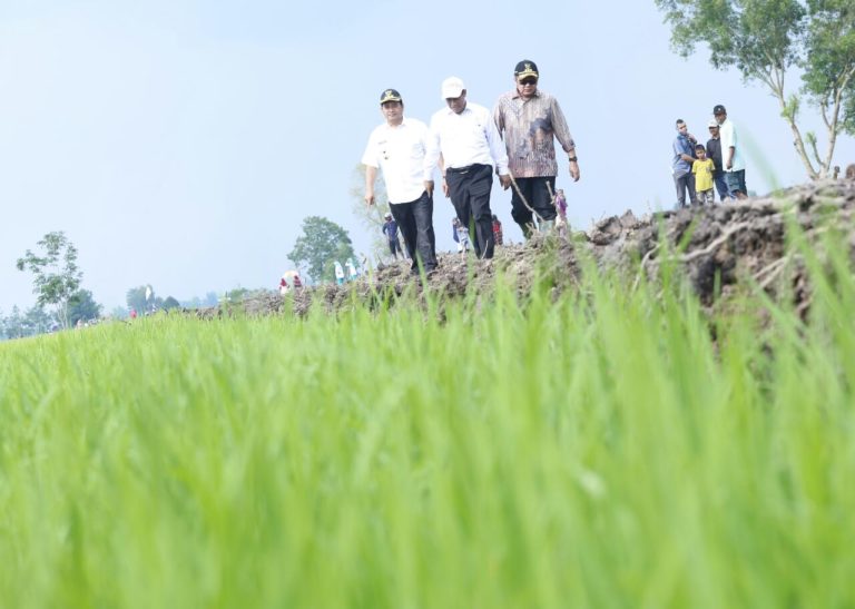Kerja Sektor Pertanian Dinilai Mampu Wujudkan Nawacita Jokowi