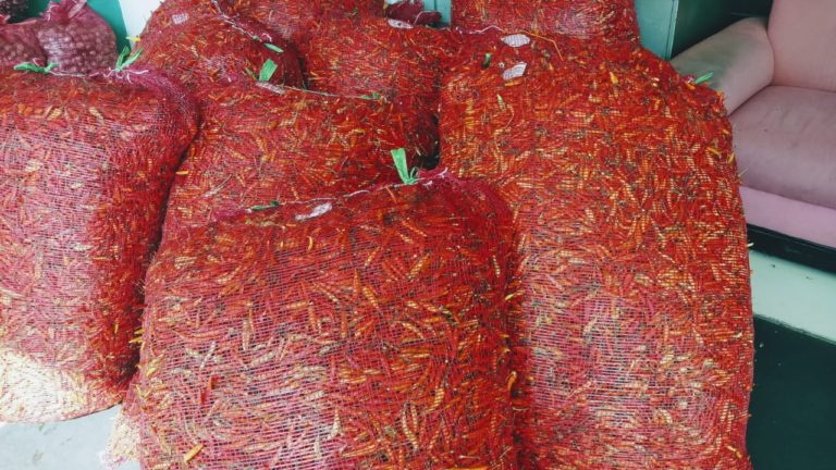 Harga Cabai di Pasar Tinggi, Toko Tani Indonesia Jual dengan Harga Murah