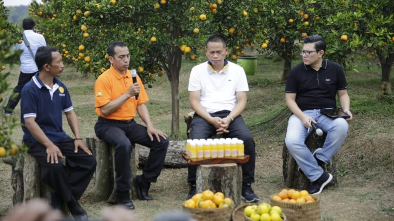 Teknologi Bujangseta Solusi Tingkatkan Produksi Jeruk Nasional