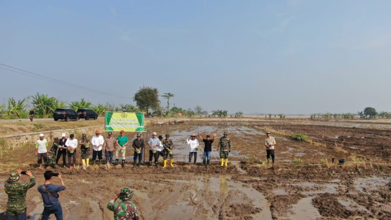 Kementan Genjot Tanaman Padi Gogo di Indramayu