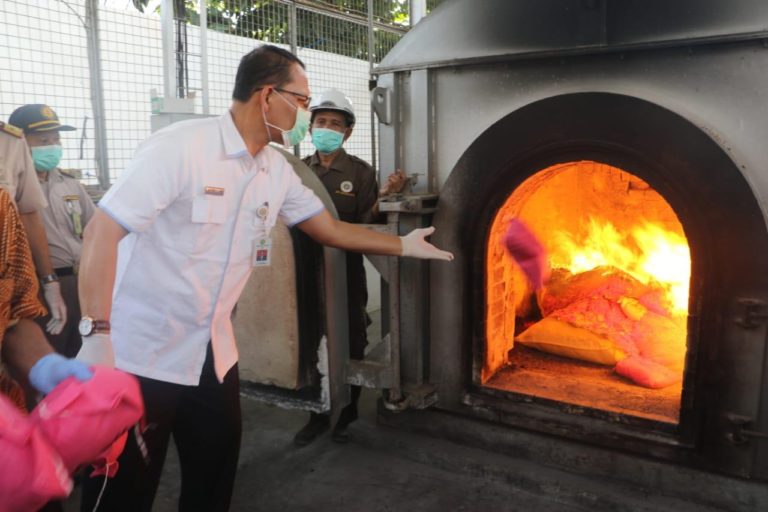 Pemerintah Musnahkan Benih Jagung Impor Berbakteri