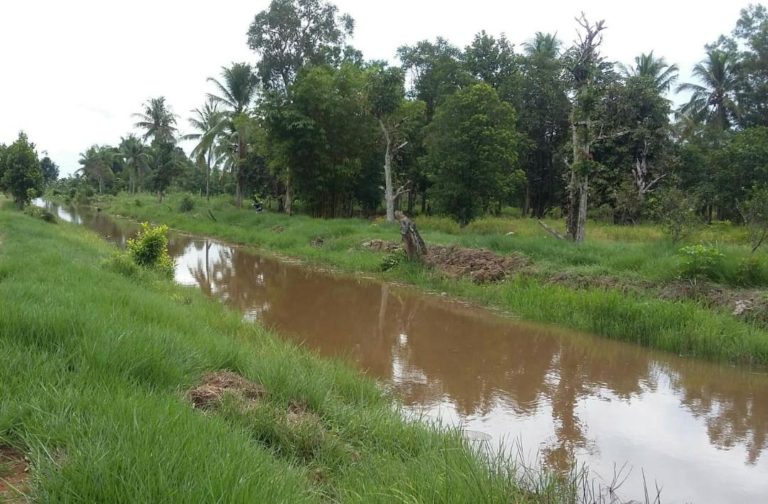 Optimalkan Lahan Rawa, Ditjen Tanaman Pangan Jamin Produksi Meningkat