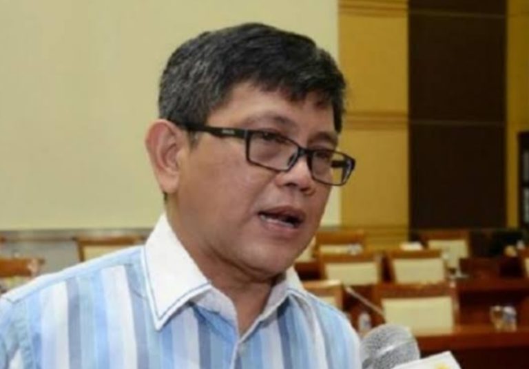 Pasal Penghinaan Presiden, Anggota DPR: Itu Delik Aduan