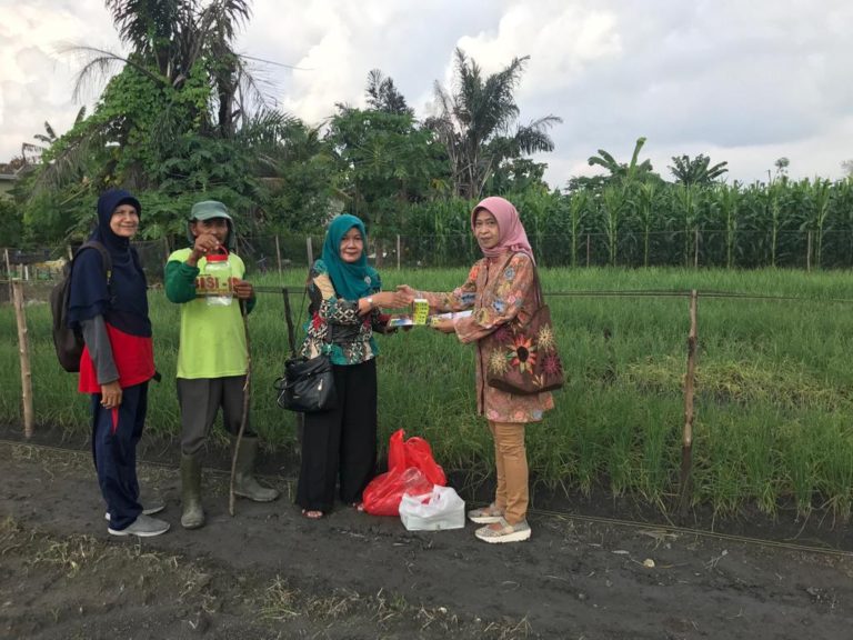 Petani Sayuran Hasilkan Produk Ramah Lingkungan yang Berkualitas