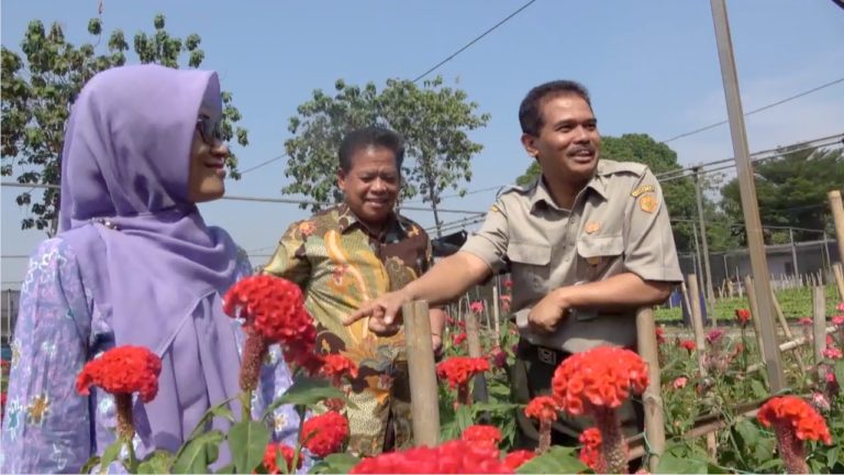 Kemudahan Izin Kementan, Bogor Raup Puluhan Miliar Ekspor Tanaman Hias ke 10 Negara