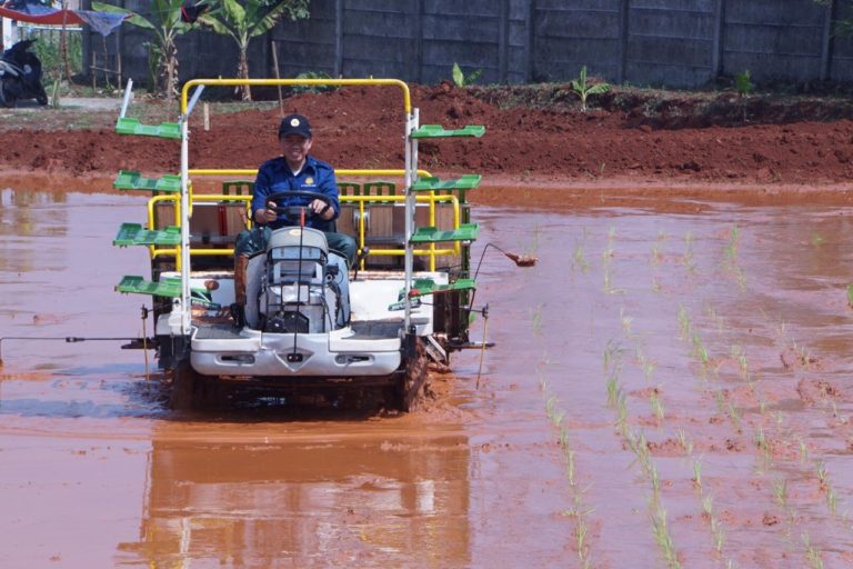 Kementan: Indonesia Mandiri Pangan, Bahkan Mampu Penuhi Kebutuhan Dunia