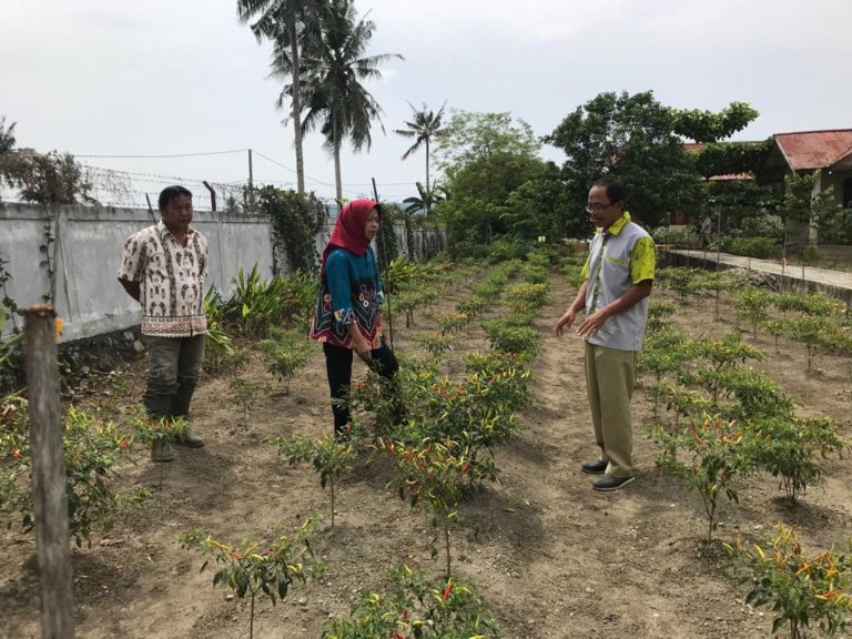 Kementan Dorong Petani Jayapura Mandiri