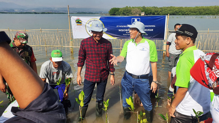 Bersama Gubernur Jateng, PT Nojorono Tanam Mangrove di Pesisir Semarang
