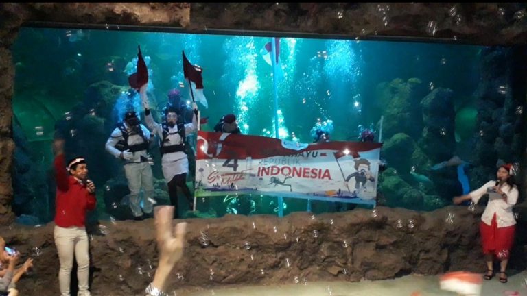 Menakjubkan! Seaworld Kibarkan Bendera Merah Putih di Bawah Air