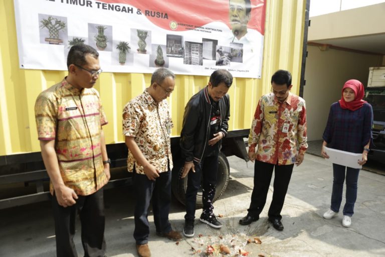 Kementan Lepas Ekspor Bunga Suji Dracaena ke Erofa