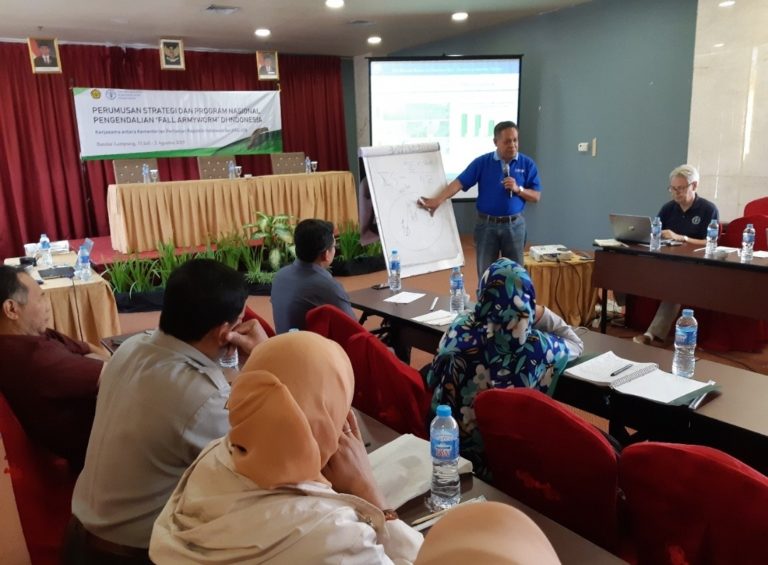 Kementan-FAO Rumuskan Strategi Penanganan Ulat Grayak