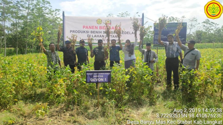 Potensi kedelai di Indonesia Terus Didorong