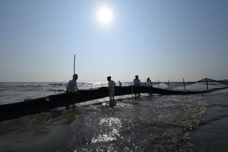 1500 Personil Dikerahkan untuk Tangani Tumpahan Minyak di Pantai Karawang