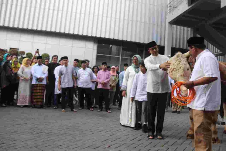 Usai Solat Idul Adha, Anies Serahkan Sapi Kurban Seberat 1,2 Ton