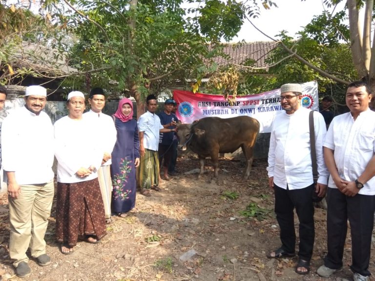 Pertamina Berikan Kurban Sapi di Wilayah Terdampak Tumpahan Minyak ONWJ