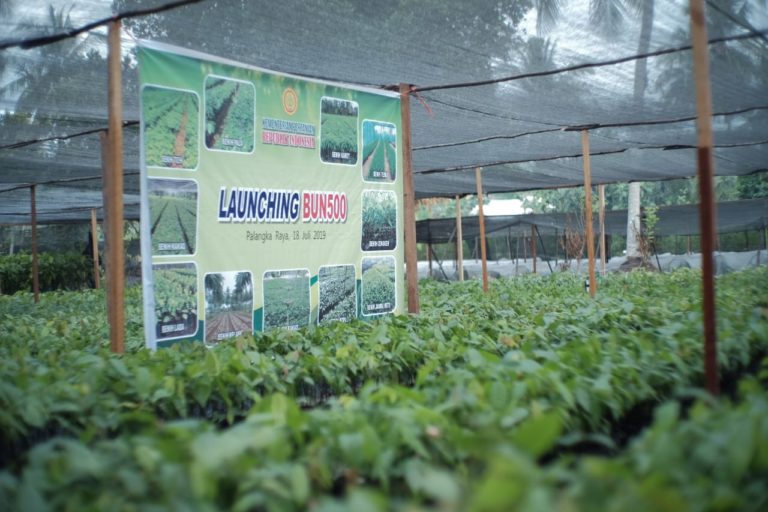 Lima Strategi Perkebunan Indonesia Primadona di Pasar Ekspor
