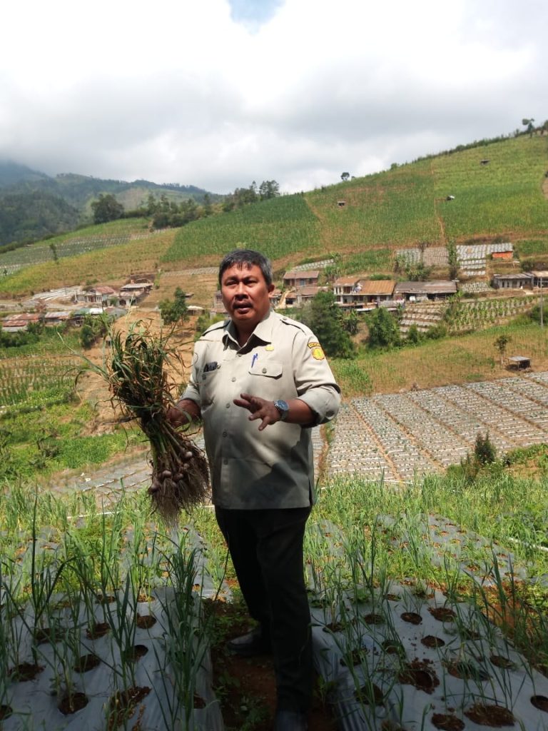 Program Grand Design Hortikultura Mampu Perluas Pasar Ekspor
