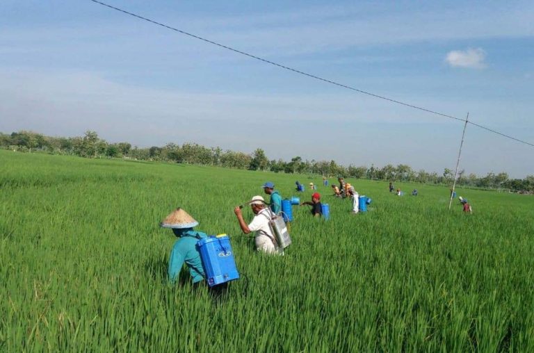 Kementan Dorong Penggunaan Pestisida Nabati Ramah Lingkungan