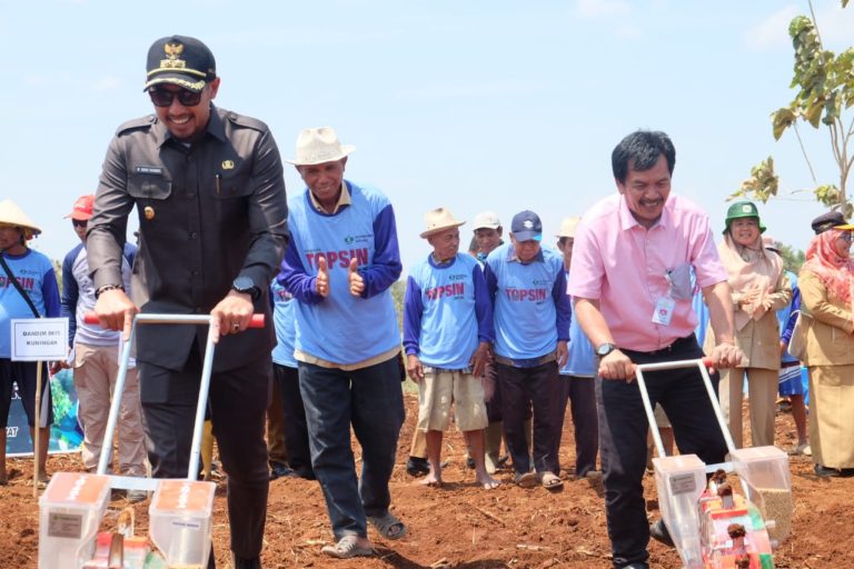 Kementan Sulap Galian Pasir Jadi Lahan Kedelai untuk Dongkrak Produksi