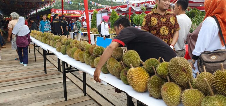 Surplus 735 Ton, Durian Lokal Targetkan Ekspansi Ekspor
