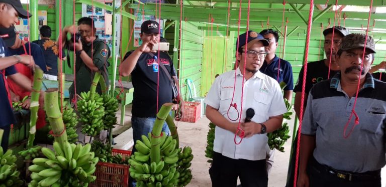 Kawasan Korporasi Pendorong Ekspor Hortikultura