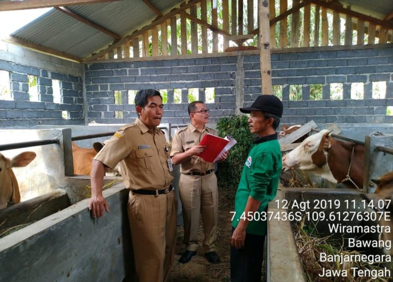 Minat Konsumen  Terhadap Produk Organik Semakin Meningkat