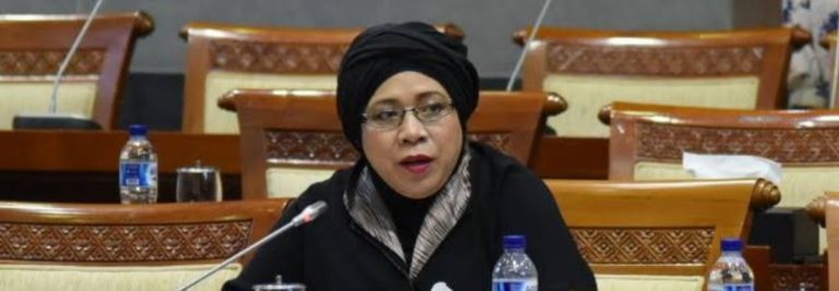 Banyak Kesamaan, Kian Perkuat Kerjasama DPR-Kongres AS