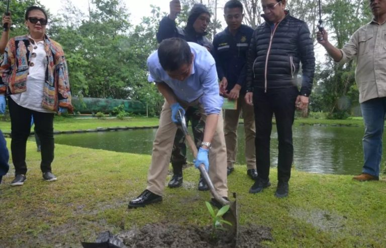 Kunjungi Pusat Reklamasi Freeport, Jonan Tanam Pohon Bintangon