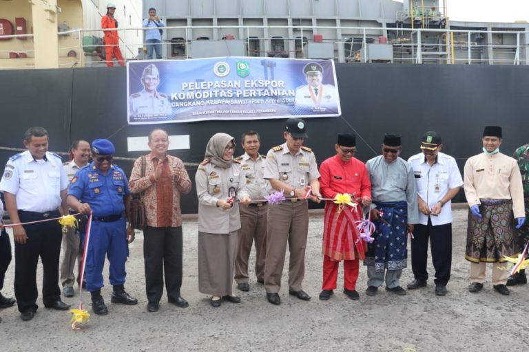 Jadi Bahan Bakar Eco-Friendly, Ekspor Cangkang Sawit Riau Terus Meningkat