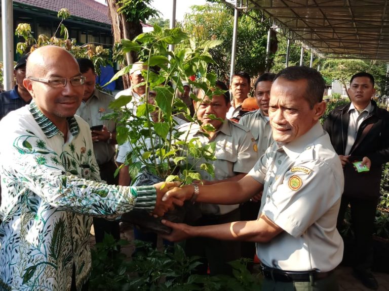 BKP Kementan Canangkan Gerakan Tanam Cabai di Pekarangan Secara Nasional