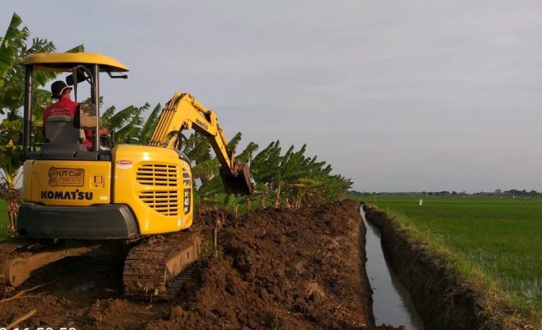 Kementan Komitmen Amankan Produksi Padi Saat Kemarau