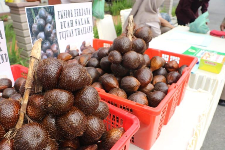 Salak Deli Serdang Rambah Pasar Ekspor ke Thailand