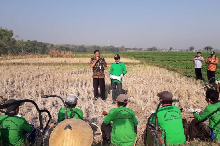Kementan Galakkan Pestisida Hayati Ramah Lingkungan