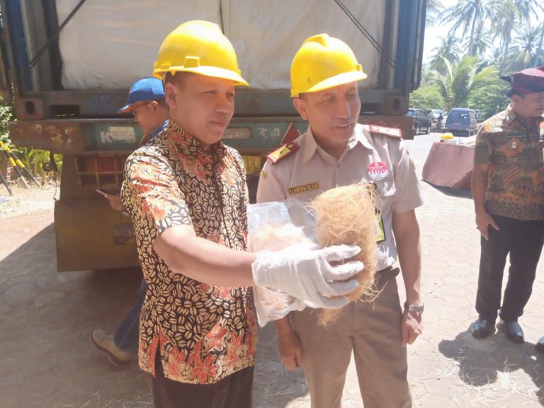 Serabut Kelapa Banyuwangi Diekspor ke Tiongkok