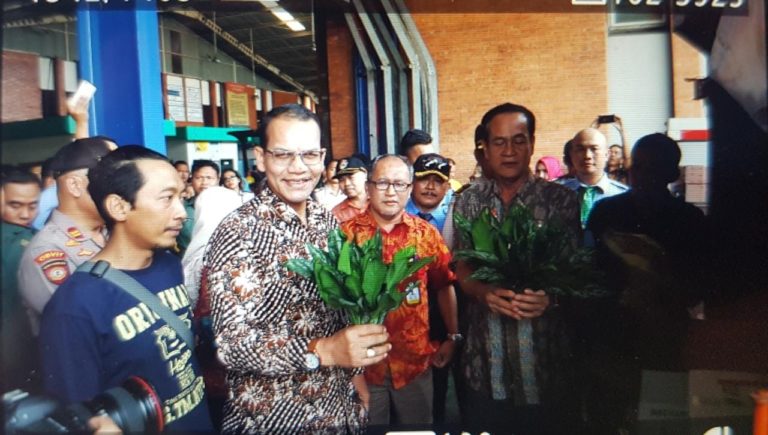Ekspor Komoditi Pertanian Indonesia Semakin Berkibar