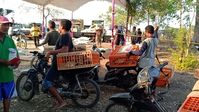 Kementan Salurkan Bantuan Ayam #Bekerja untuk Rakyat Miskin di Nganjuk