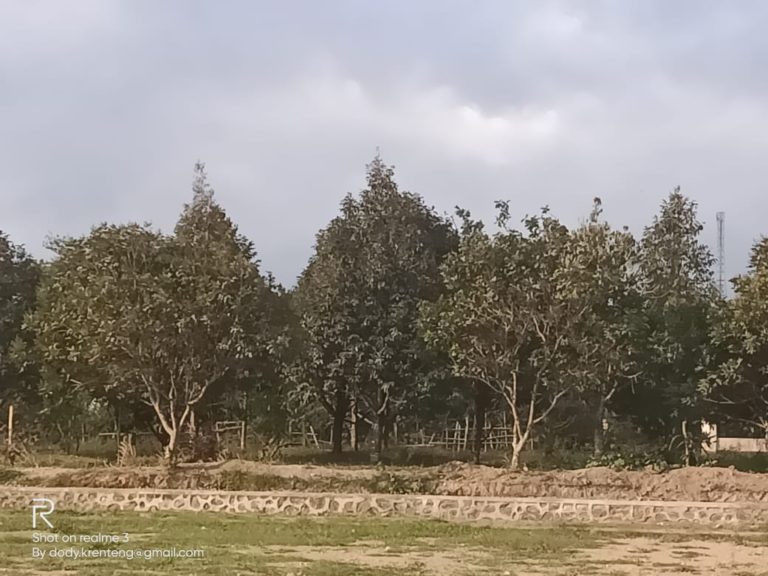 Lombok Barat Siap jadi Kawasan Korporasi Durian
