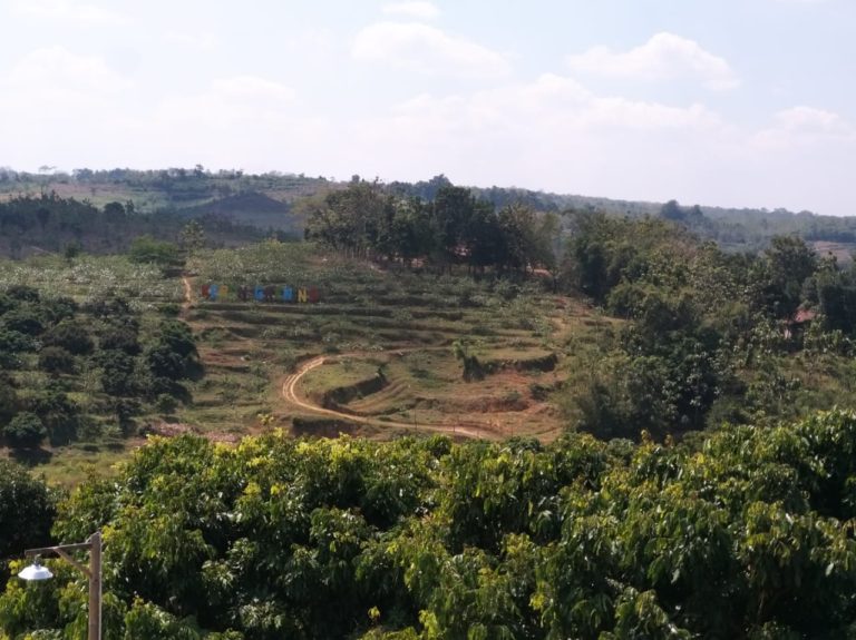 Menjawab Tantangan Pasar Global, Kementan Matangkan Grand Design Hortikultura 2020-2024