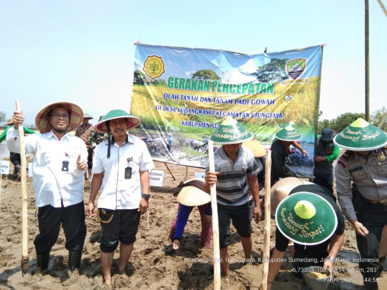 Musim Kemarau, Petani Sumedang Tanam Padi Gogo