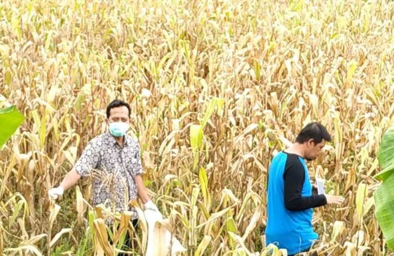 Kementan Lakukan Uji Mutu Agar Kualitas Produk Pangan Terjamin