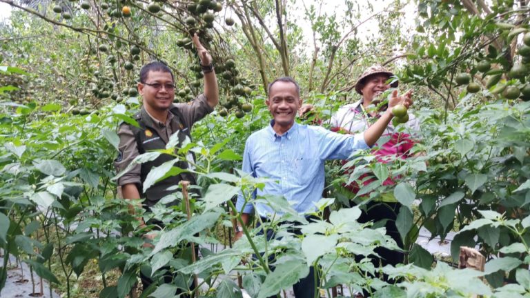 BKP Kementan Minta Kadis Kawal Kegiatan Korporasi Usahatani