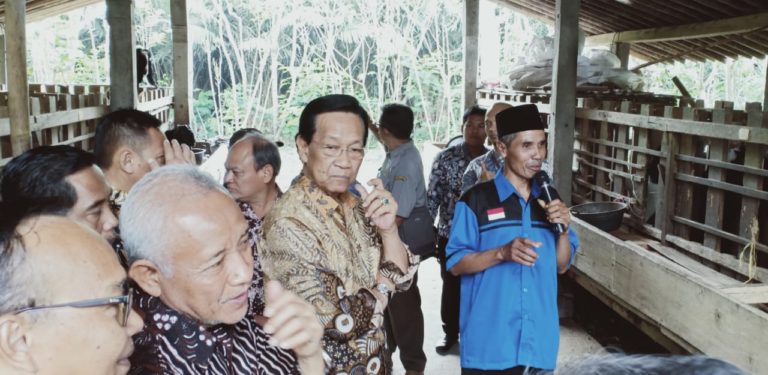Mengangkat Pamor Produk Hortikultura, Mengembangkan Model Desa Pertanian Organik
