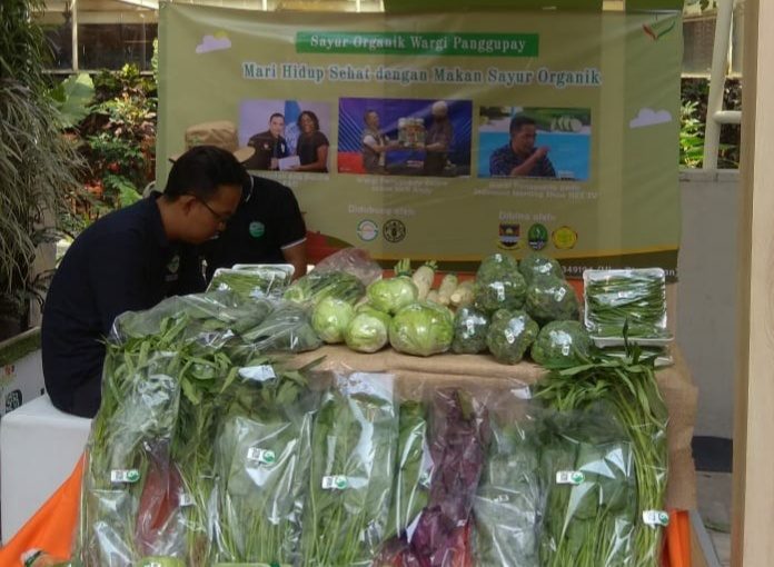 Promosi Pertanian Organik sebagai Gaya Hidup Sehat di Desa Cikoneng